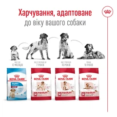 Royal Canin Medium Adult - Корм збалансований для дорослих собак середніх порід