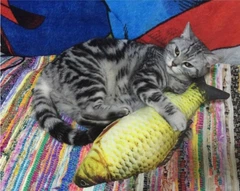 Без бренда Іграшка для котів плюшева 3D риба Карась CatNip з котячою м'ятою