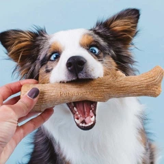 Outward Hound Іграшка для собак Petstages Dogwood L (20 см)