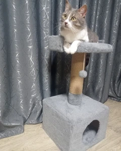 Oppa Styopa Дряпка кігтєточка будиночок для котика Алабама Oppa_Styopa