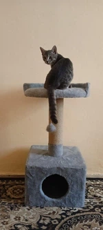 Oppa Styopa Дряпка кігтєточка будиночок для котика Алабама Oppa_Styopa