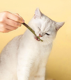 Без бренду Палички для котів мататабі котяча м'ята Cat Mint Stick