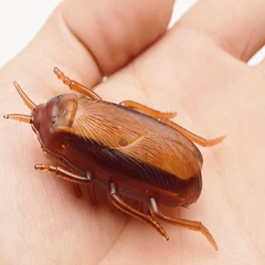 Іграшка для кішок живий Таракан CAPSBOARD COCKROACH 6.5 см (190001)