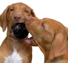 Іграшка для собак KONG Dog Extreme Ball надміцний м’яч, M-L, 7,5 см