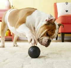 Іграшка для собак KONG Dog Extreme Ball надміцний м’яч, M-L, 7,5 см