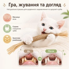 Без бренду Жувальна паличка для котів, натуральна іграшка для котів, паличка для гри та догляду за зубами