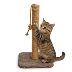 Дряпка (кігтеточка) WNINE Cat Base, висота 50 см, основа 30×30 см, джгутовий канат, ковролін