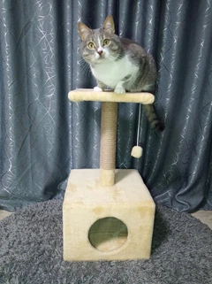 Будиночок для кота Oppa Styopa "Канзас" джут із поличкою бежева