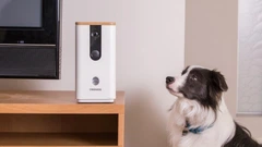 Dogness Ласощі Інтерактивний комплекс Cam