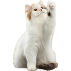 Без бренда Вертикальна L-подібна велика міцна когтеточка для котів Mengdu Star Pet з м'ячиком-іграшкою