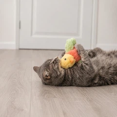 Іграшка Trixie для котів Пташка жовтий/оранжевий/світло-зелений 10 см
