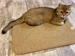 CatDog Килимок Кігтіточка 60х40 см