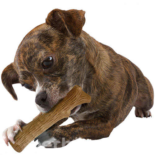 Petstages Dogwood Stick "Міцна гілка" для собак