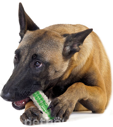 Petstages Crunchy Bone Хрустка кісточка для собак