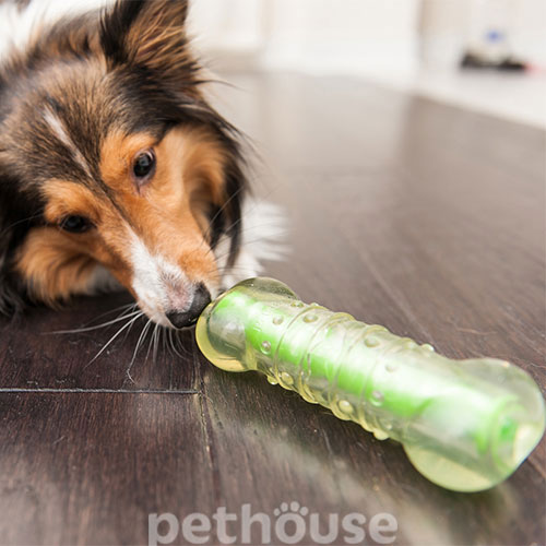 Petstages Crunchy Bone Хрустка кісточка для собак