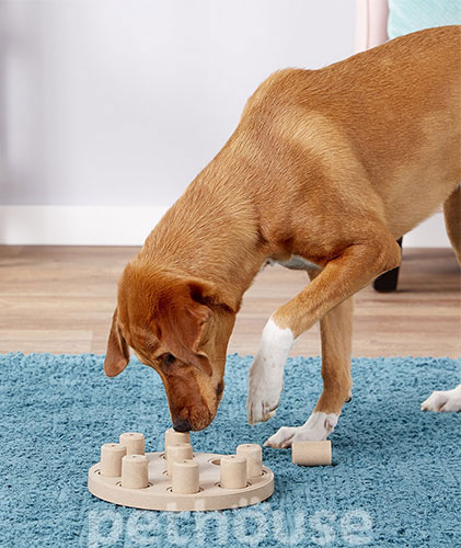Nina Ottosson Dog Smart Composite Головоломка для собак