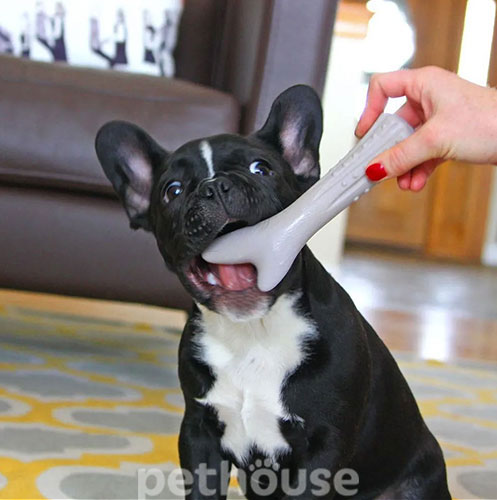 Petstages Deerhorn Іграшка із оленячих рогів для собак