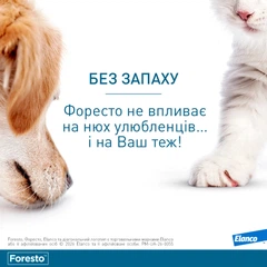 Нашийник Elanco (Bayer) Foresto (Форесто) від бліх та кліщів для собак 70 см (4007221038191)