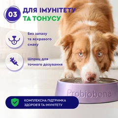 Probioday Добавка для котів